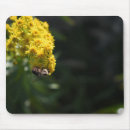 Suche nach gelbe blume mousepads Blumenreich