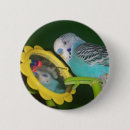 Suche nach parakeet buttons Für alle