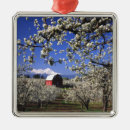 Suche nach obstgärten ornamente Ernte