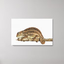 Suche nach seitenansicht leinwandbilder Reptilien