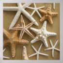 Suche nach seesterne poster Strand
