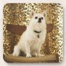 Suche nach stuhl untersetzer Zuhause