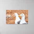 Suche nach seegras kunst Wild