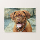 Suche nach dogue Hund