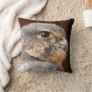 Suche nach falcon kissen Wanderfalke