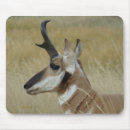 Suche nach profil mousepads Im freien
