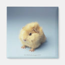 Suche nach fußboden magnete Tier