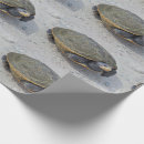 Suche nach schildkröte packpapier geschenkpapier Schildkröten