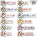 Suche nach nouveau aufkleber Blume