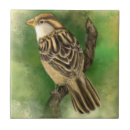 Suche nach spatz fliesen Vögel