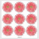 Suche nach margerite aufkleber Geburtstag