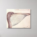 Suche nach pelikane leinwandbilder Vogel