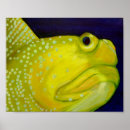 Suche nach gelbe fische poster Blau