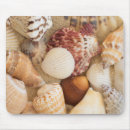 Suche nach seashells mousepads Nautisch