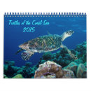 Suche nach schildkröten kalender Tiere