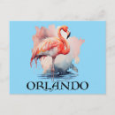 Suche nach florida flamingo postkarten Tropisch