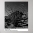 Suche nach ansel adams poster Schwarz weiß