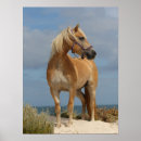 Suche nach haflinger poster Bob sprache