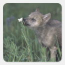 Suche nach tierköpfe aufkleber Tierwelt