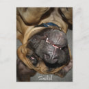 Suche nach gesichtsausdruck postkarten Hund
