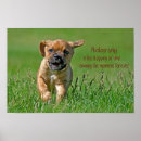 Suche nach runen poster Jede person