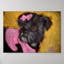 Suche nach shih tzu hunde poster Haustiere