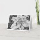 Suche nach weiße tiger karten Blume