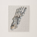 Suche nach fuß puzzle Anatomie