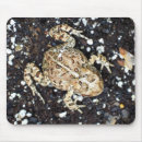 Suche nach kröte mousepads Natur