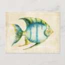 Suche nach blauer fisch postkarten Aquarium