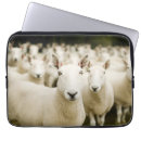 Suche nach schafe laptop schutzhüllen Lamm