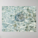 Suche nach stingray poster Meer