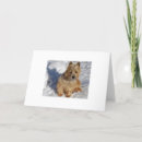 Suche nach cairns karten Urlaub