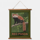 Suche nach ailurus Ailurus fulgens