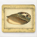 Suche nach vintage muschel mousepads Seashell