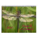 Suche nach damselflies Libelle