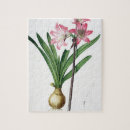 Suche nach amaryllis puzzle Botanisch