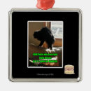 Suche nach sofa ornamente Ich kann habe cheezburger