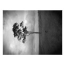 Suche nach wiltshire poster Landschaft