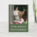 Suche nach lächelnde katze karten Für sie