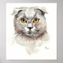 Suche nach scottish fold poster Niedlich