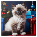 Suche nach christmas fliesen Blau