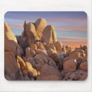 Suche nach joshua baum mousepads Fotografie