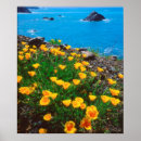 Suche nach pflücken poster Blau