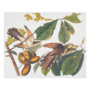 Suche nach obstbaum poster Für alle