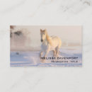 Suche nach weißes pferd visitenkarten Natur