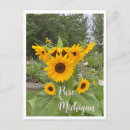 Suche nach garten mit sonnenblumen postkarten Jede person