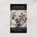 Suche nach adoptieren sie visitenkarten Rettung