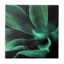 Suche nach agave fliesen Botanisch