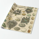 Suche nach nest geschenkpapier Jede person